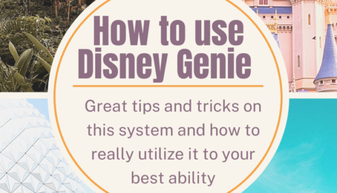 Disney genie blog cover