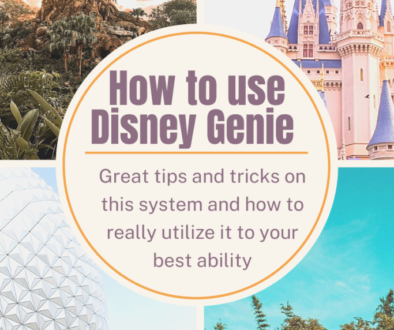 Disney genie blog cover